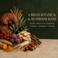 Lyme Disease, Immune System Enhancer, Antibiotic