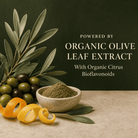 Olive Leaf, Candida, Yeast, H-Pylori, Fungus