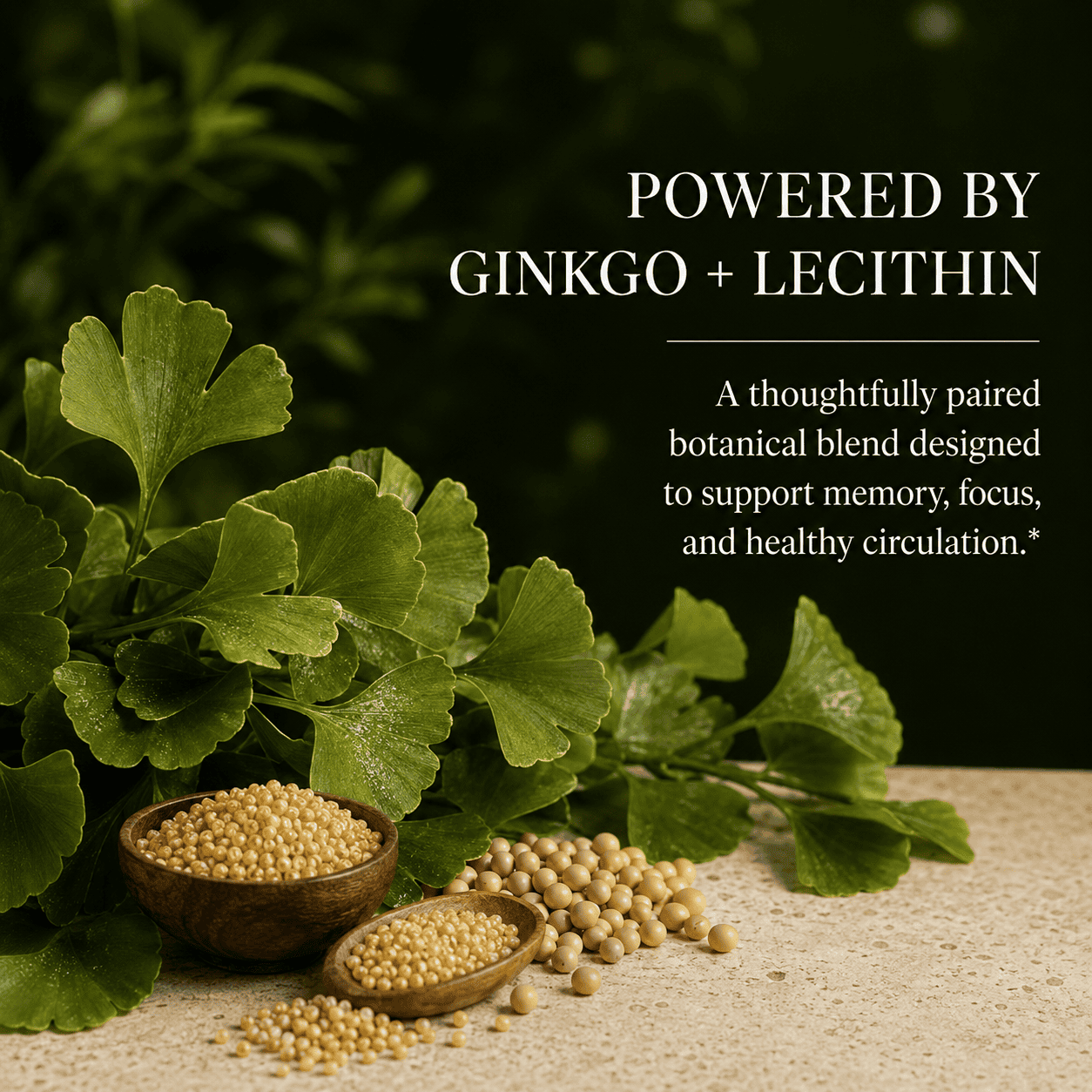 Ginkgo Biloba, complex