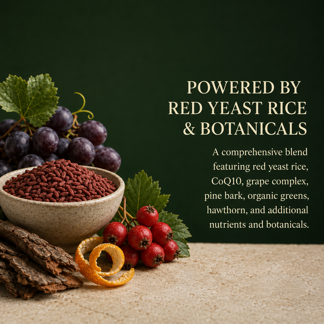 Cholesterol Control with Red Yeast Rice, HDH, LDL