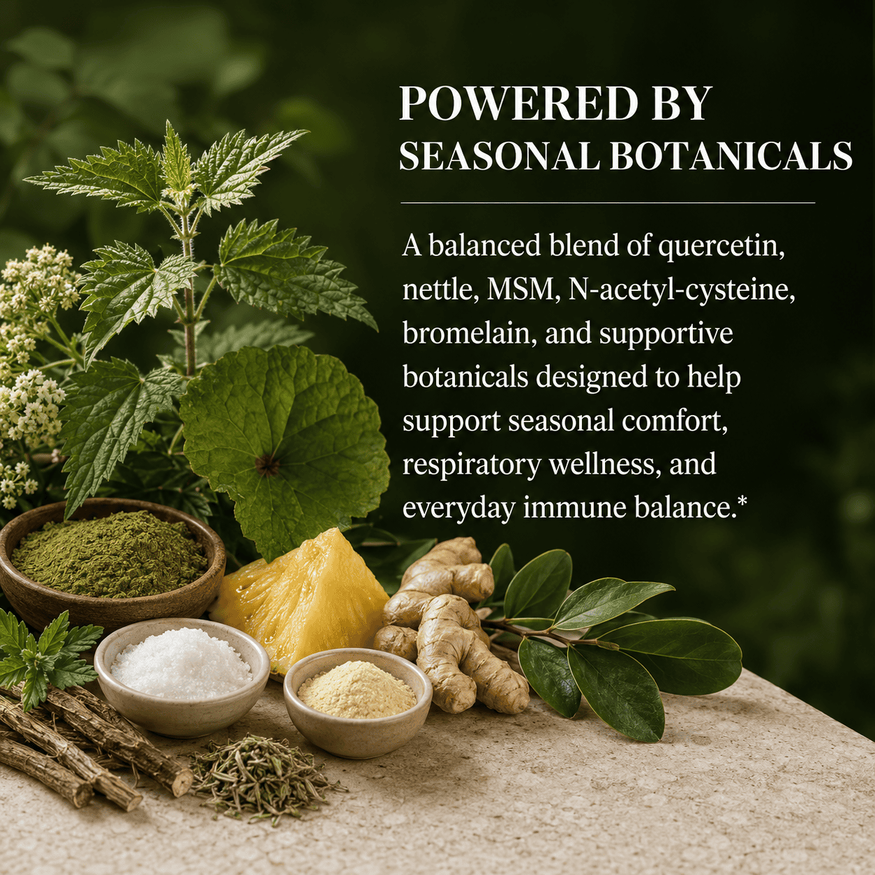 Allergy, Antihistamine