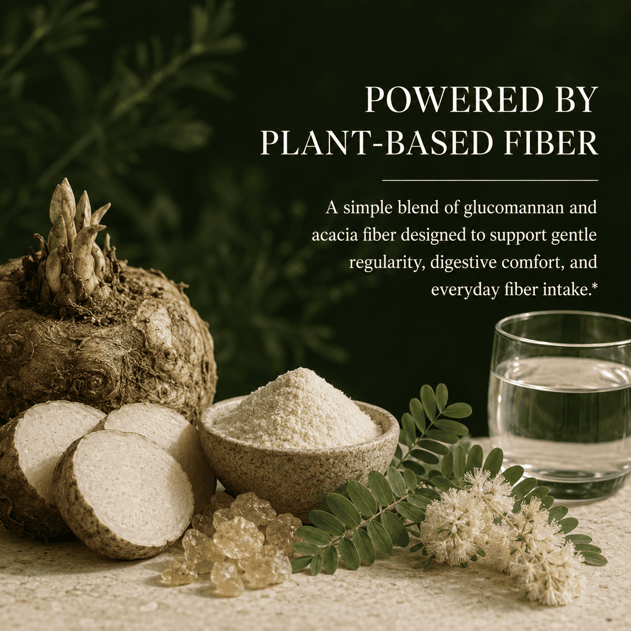 Constipation, Bowel Movement, Glucomannan