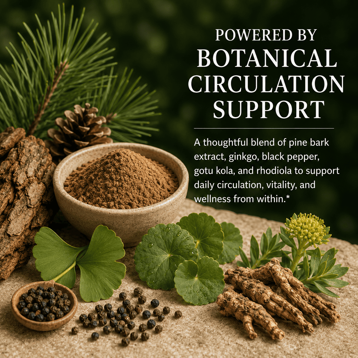 Pine Bark, Plus