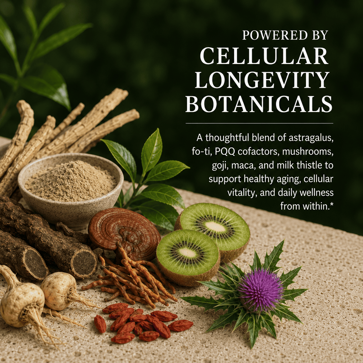 Anti-Aging, Telomerase & Mitochondria Support