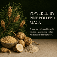 Pine Pollen