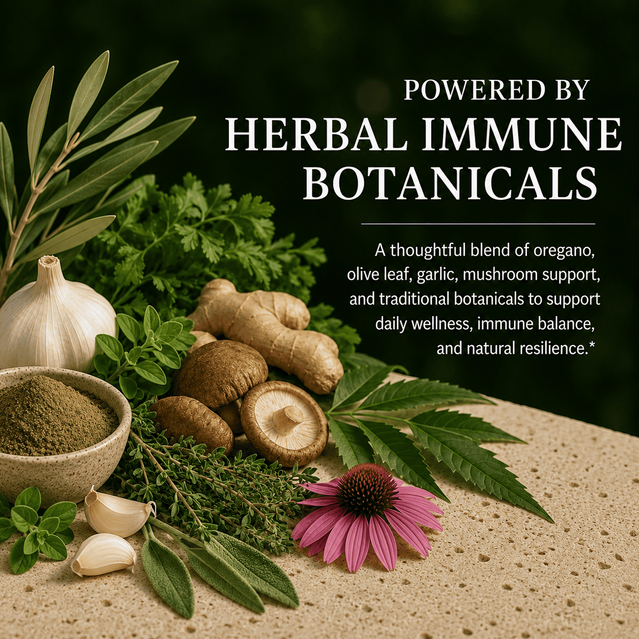 Antibiotic, Immune System Enhancer