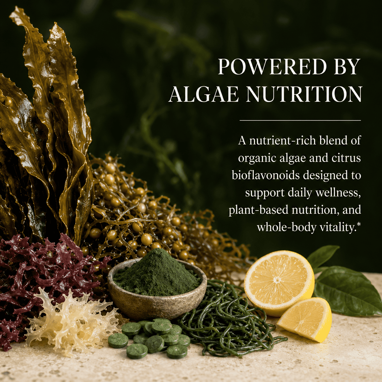 Algae, Fucoidan, Blue Green Algae, Kelp, Bladderwrack, Chlorella, Spirulina, Irish Moss, Dulse