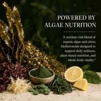 Algae, Fucoidan, Blue Green Algae, Kelp, Bladderwrack, Chlorella, Spirulina, Irish Moss, Dulse