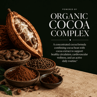 Blood Pressure, Cocoa