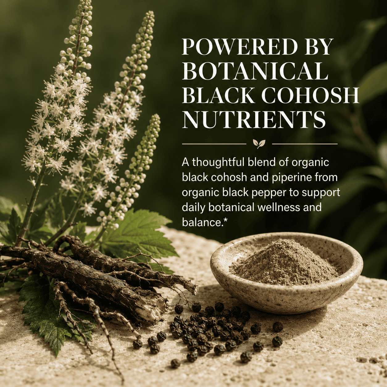 Black Cohosh