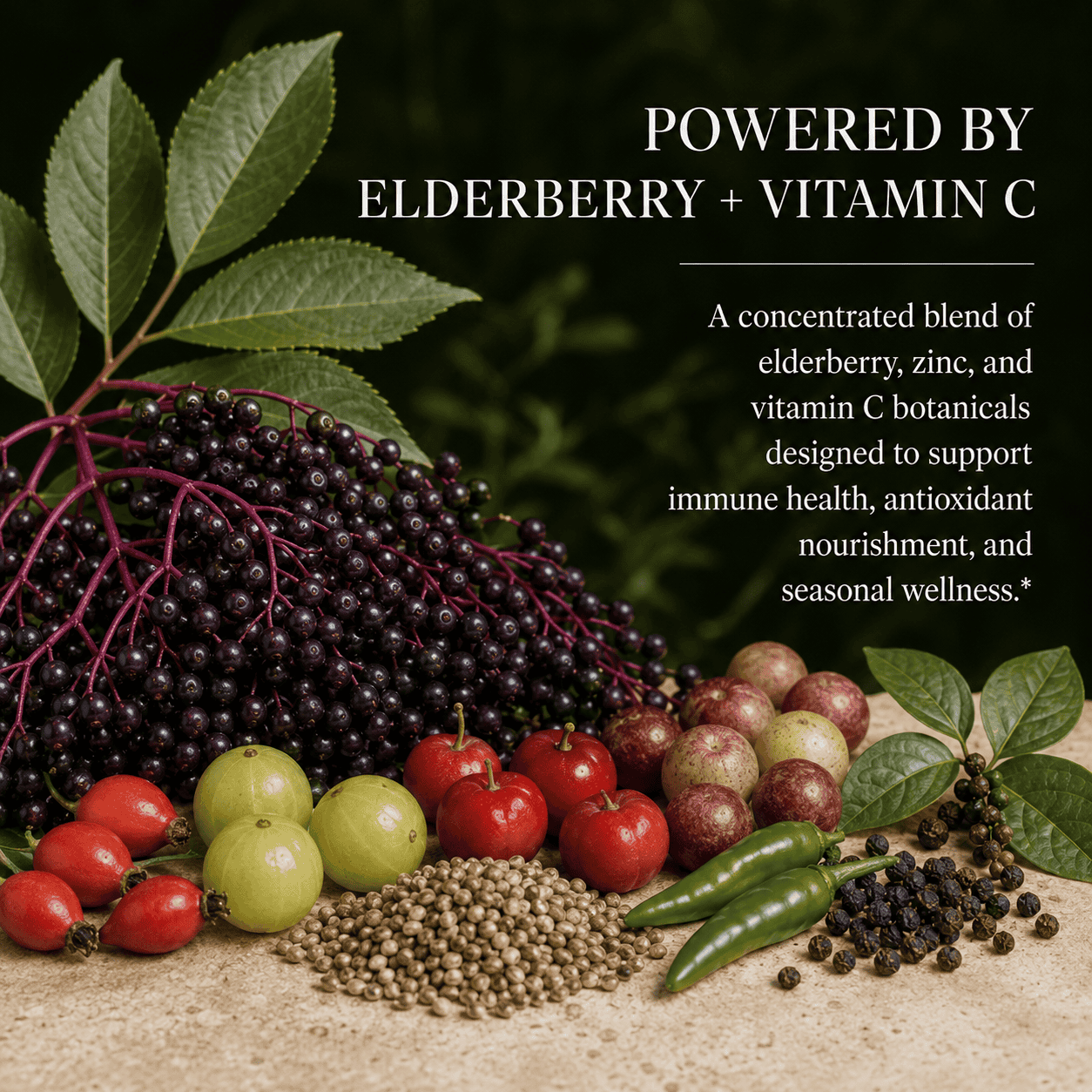 Elderberry, Sambucus, Flu, Cold, Immune