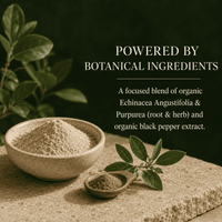 Echinacea Angustifolia & Purpurea