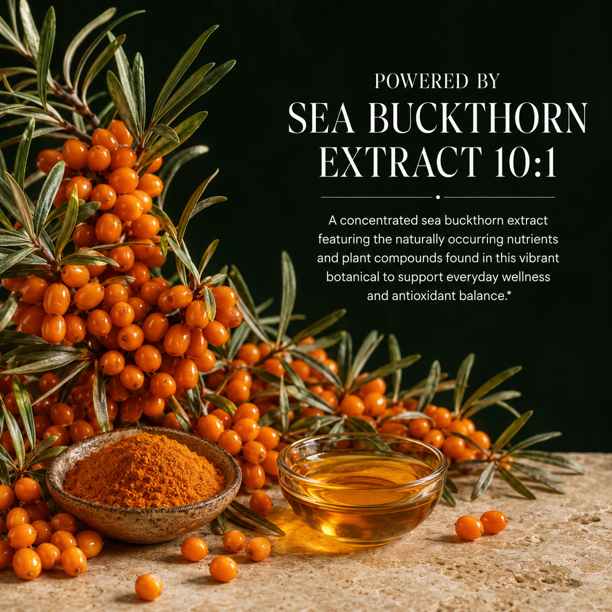 Sea Buckthorn