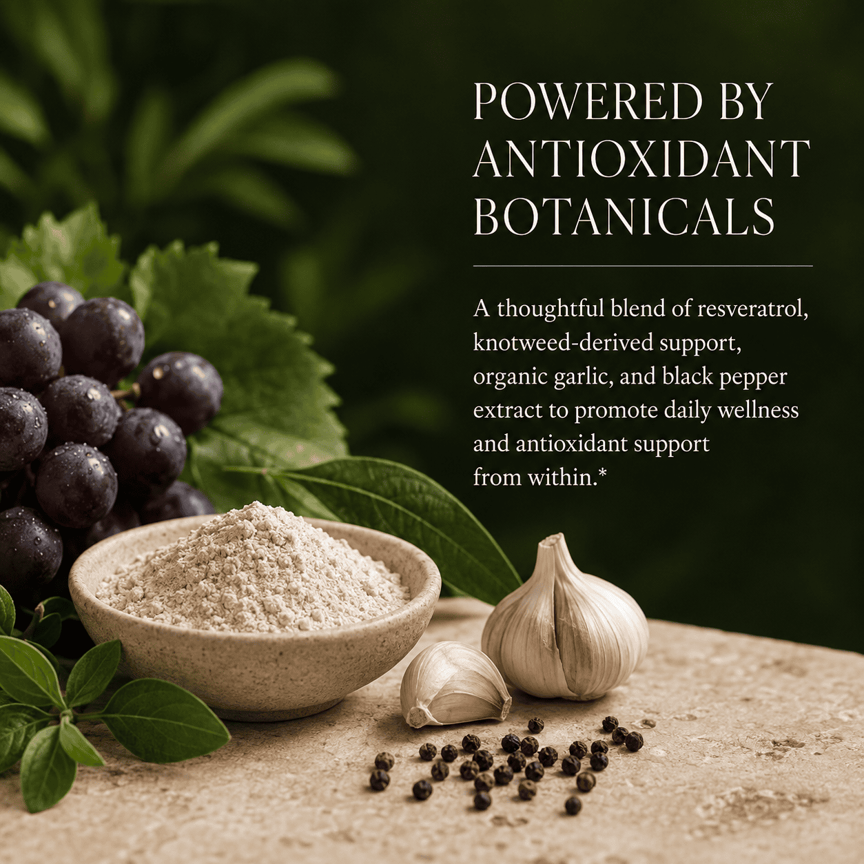 Resveratrol Complex