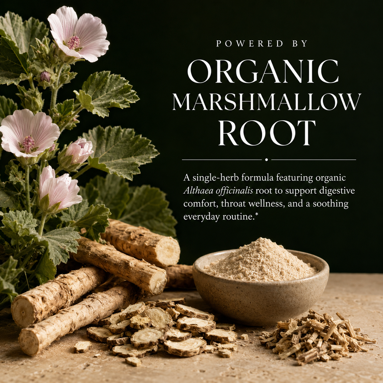 Marshmallow Root