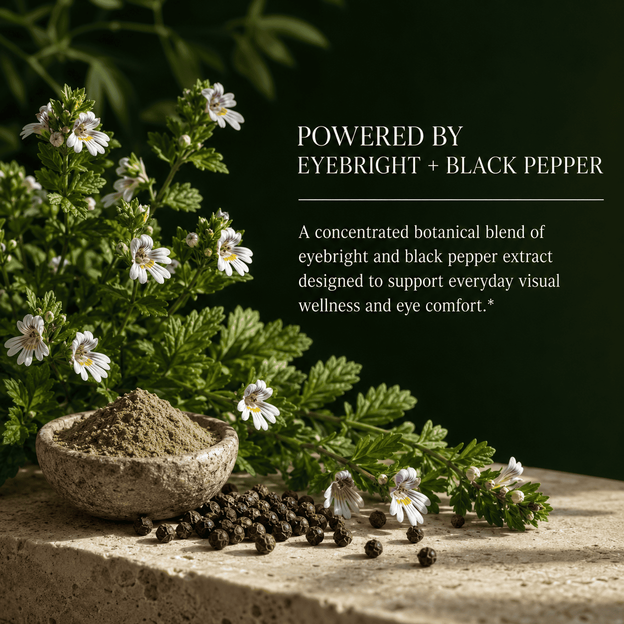 Eyebright
