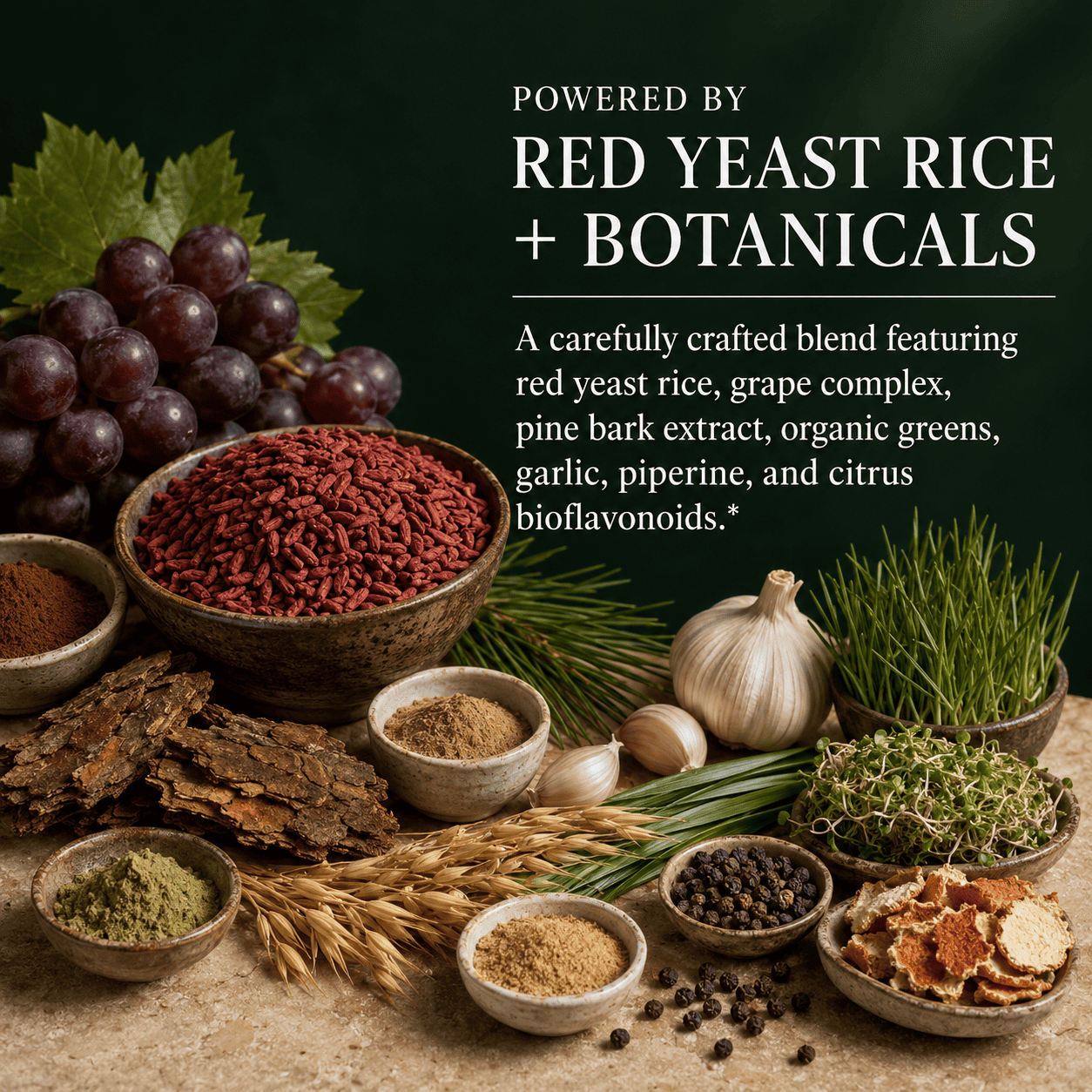 Red Yeast Rice, Plus