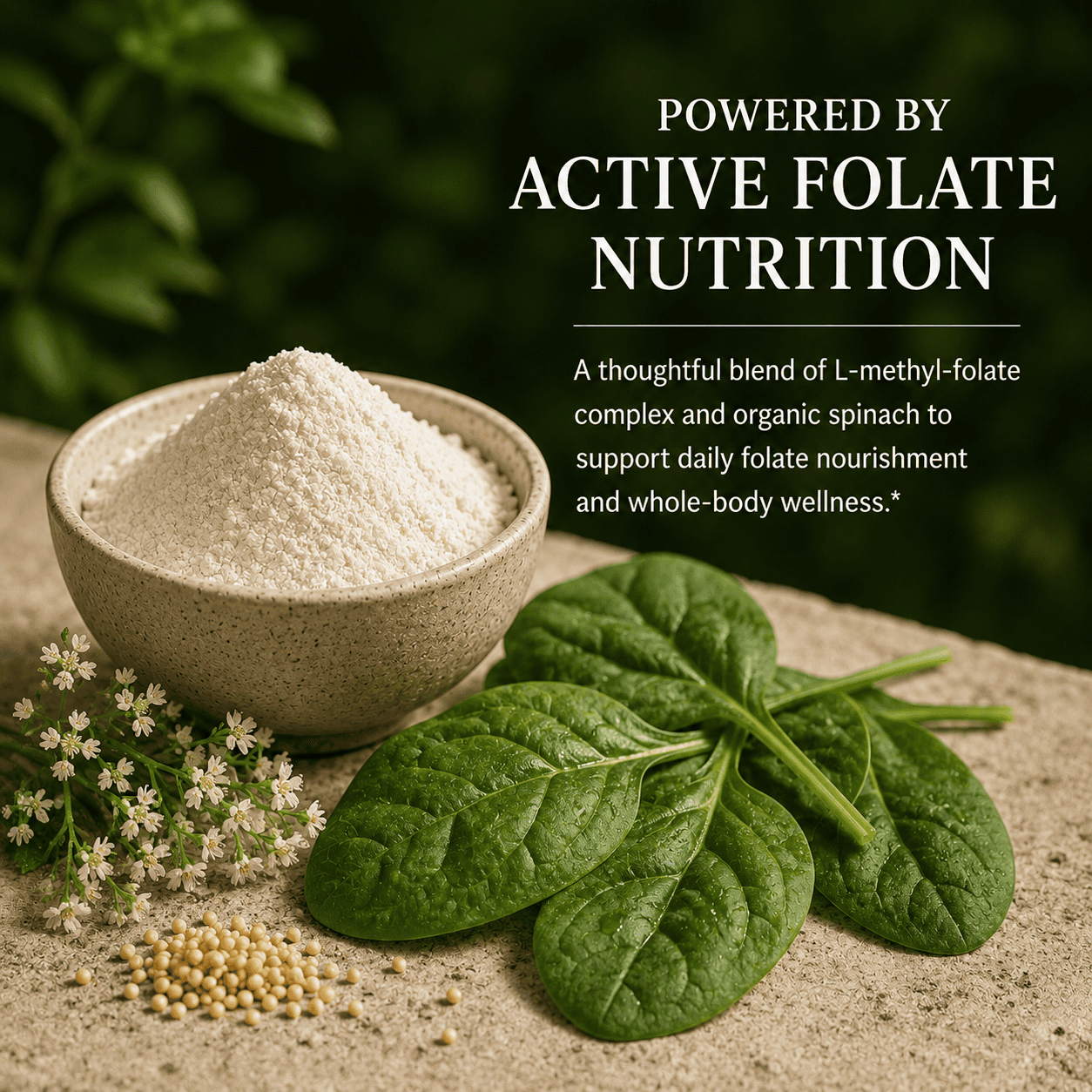 Methyl-Folate, Folic Acid