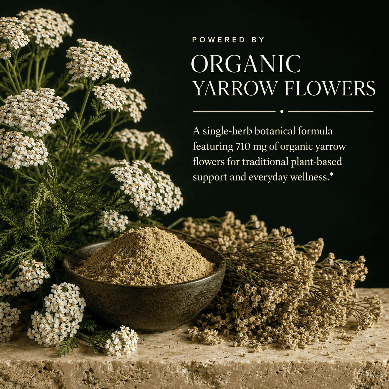 Yarrow Flower