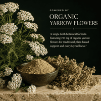 Yarrow Flower