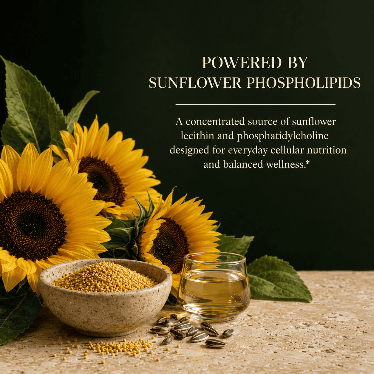 Sunflower Lecithin