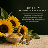Sunflower Lecithin