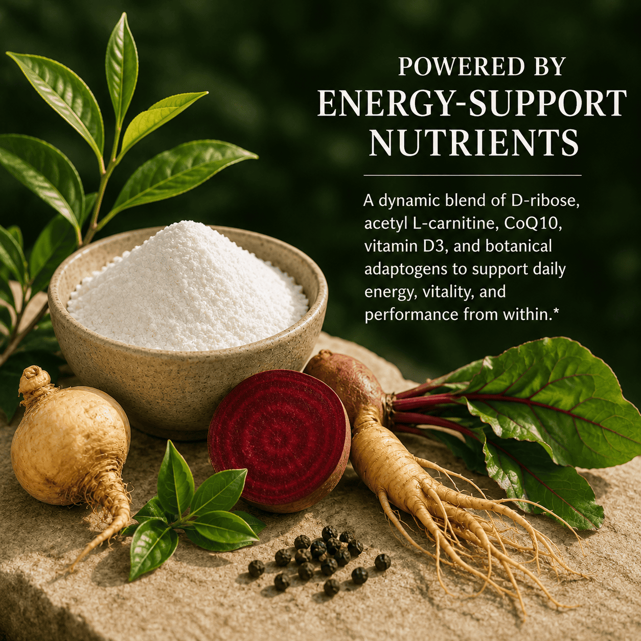 Energy Booster, Fatigue Reducer, Fibromyalgia