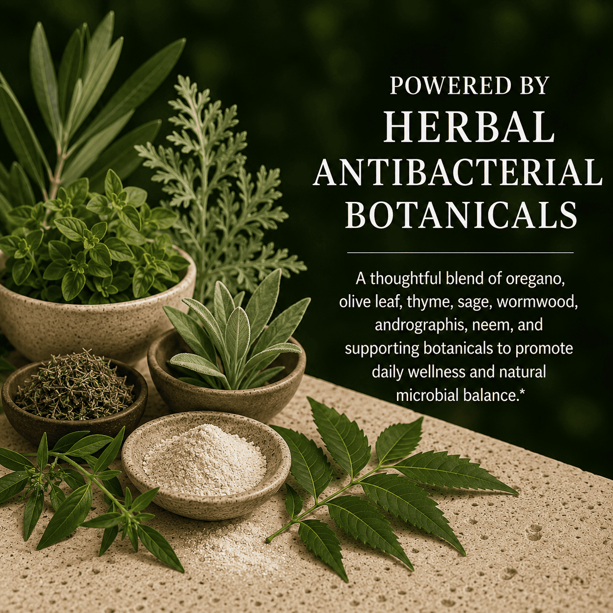 Antibacterial