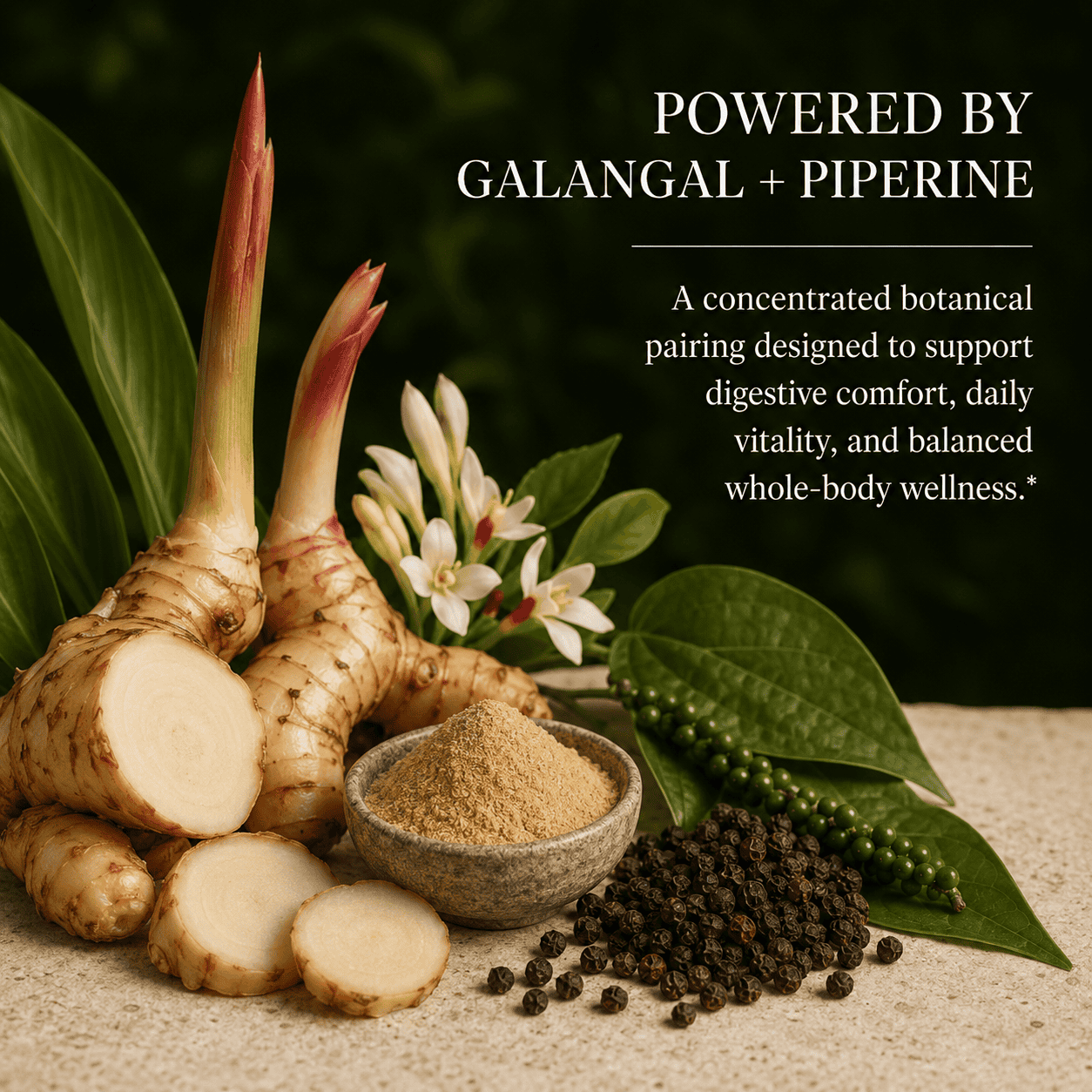Galangal, Galangin