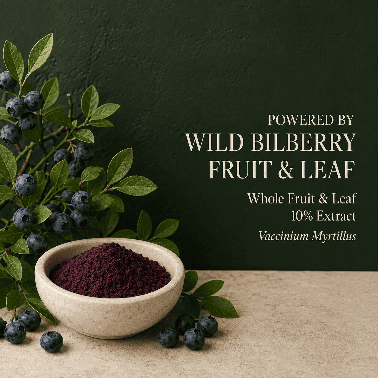 Bilberry