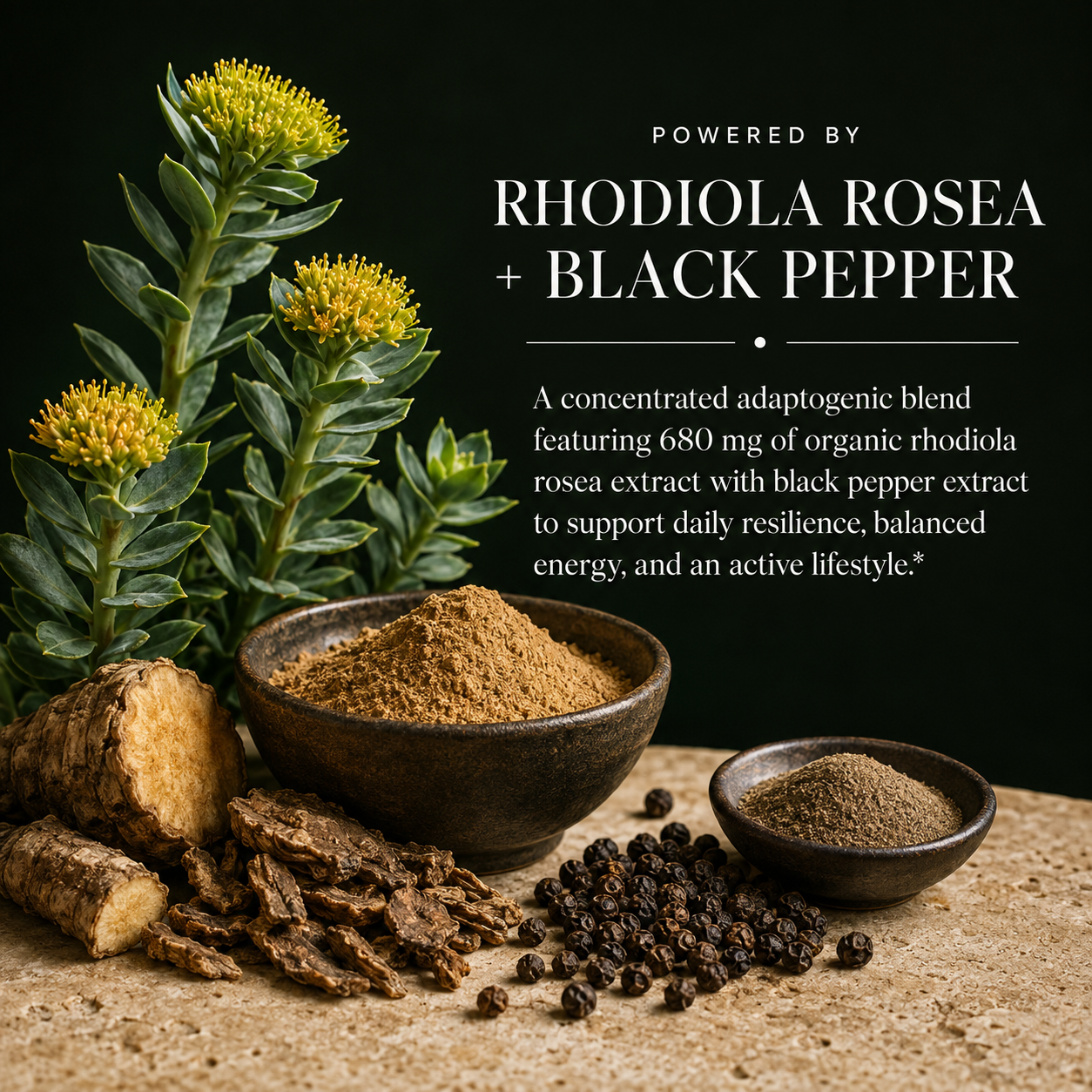 Rhodiola Rosea