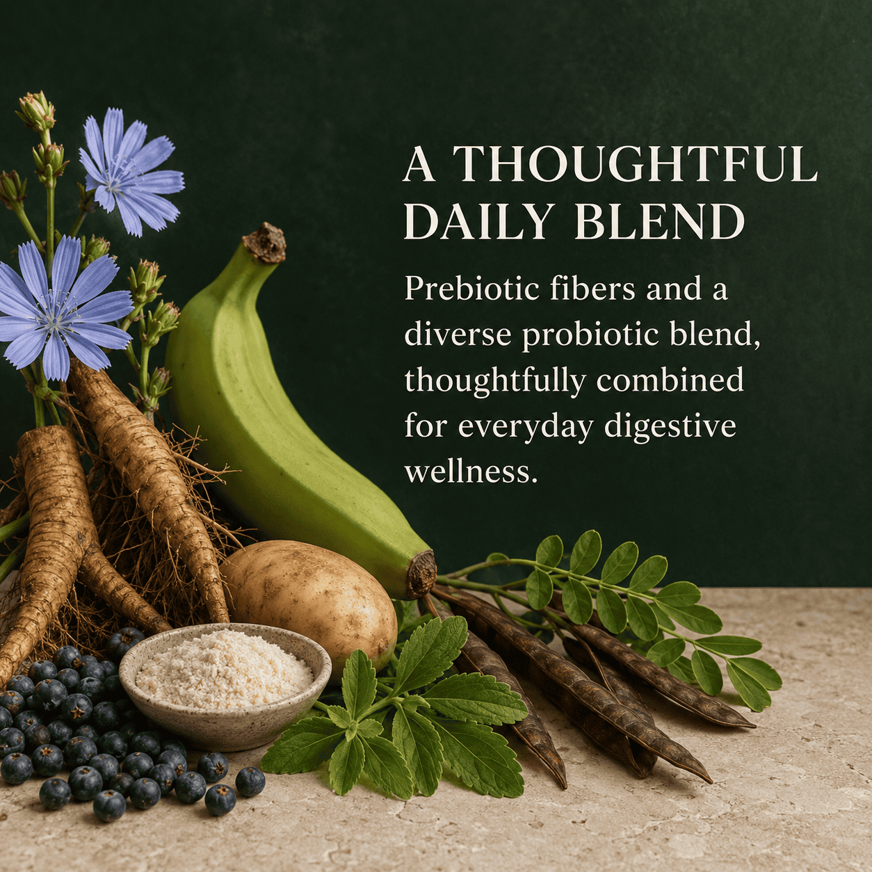 Probiotics + Prebiotics