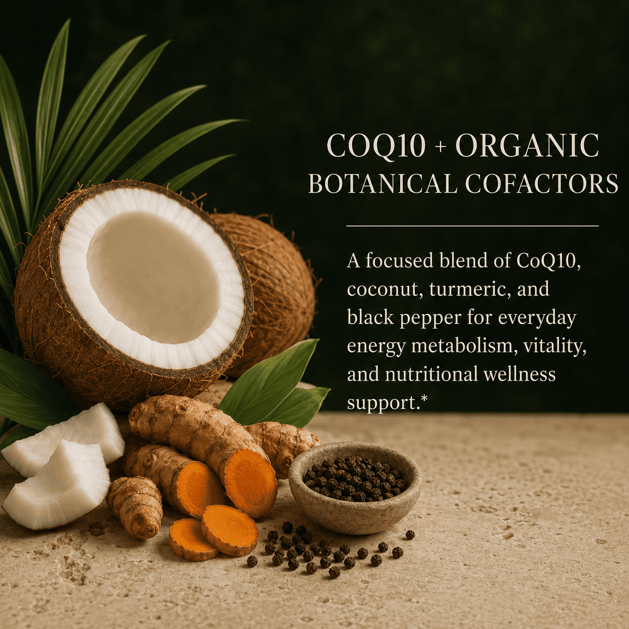 CoQ10 (Ubiquinone)