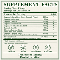 Enzymes & Probiotics, Digestive & Systemic