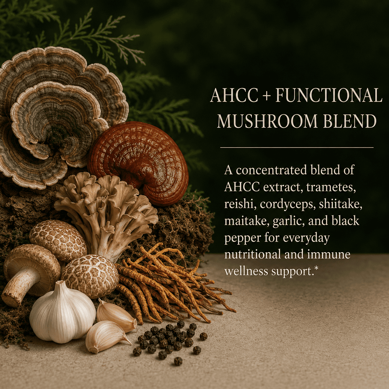 Mushrooms Blend, AHCC, Natural Antibiotic