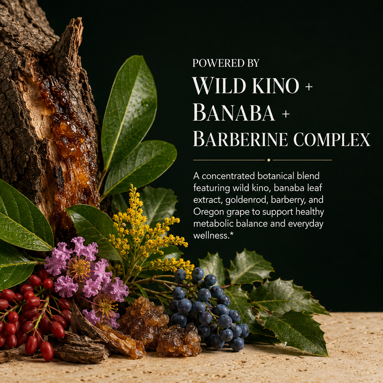 Kino - Banaba Complex, Diabetes & Blood Sugar Control