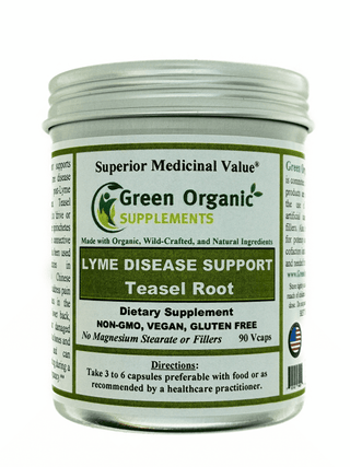 Lyme Disease, Teasel Root